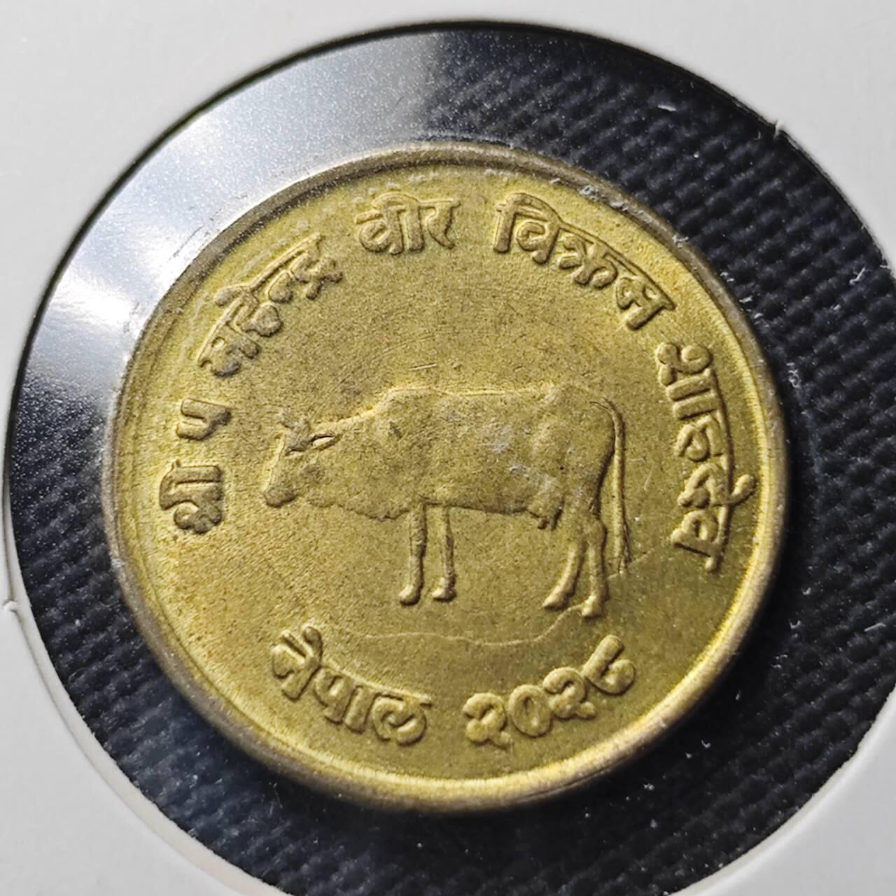 KK钱币收藏小铺  第366场  2月预留时间 周末发货  