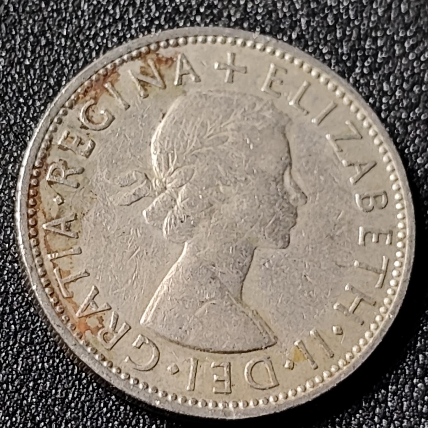 泉币菌-第125场-126场 并场 精品福利场(115场之后的本周末发货，感谢理解) 。