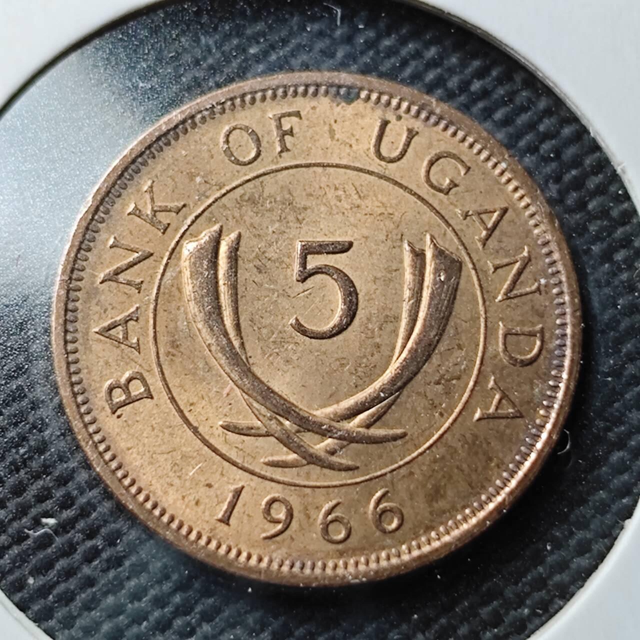 KK钱币收藏小铺  第366场  2月预留时间 周末发货  