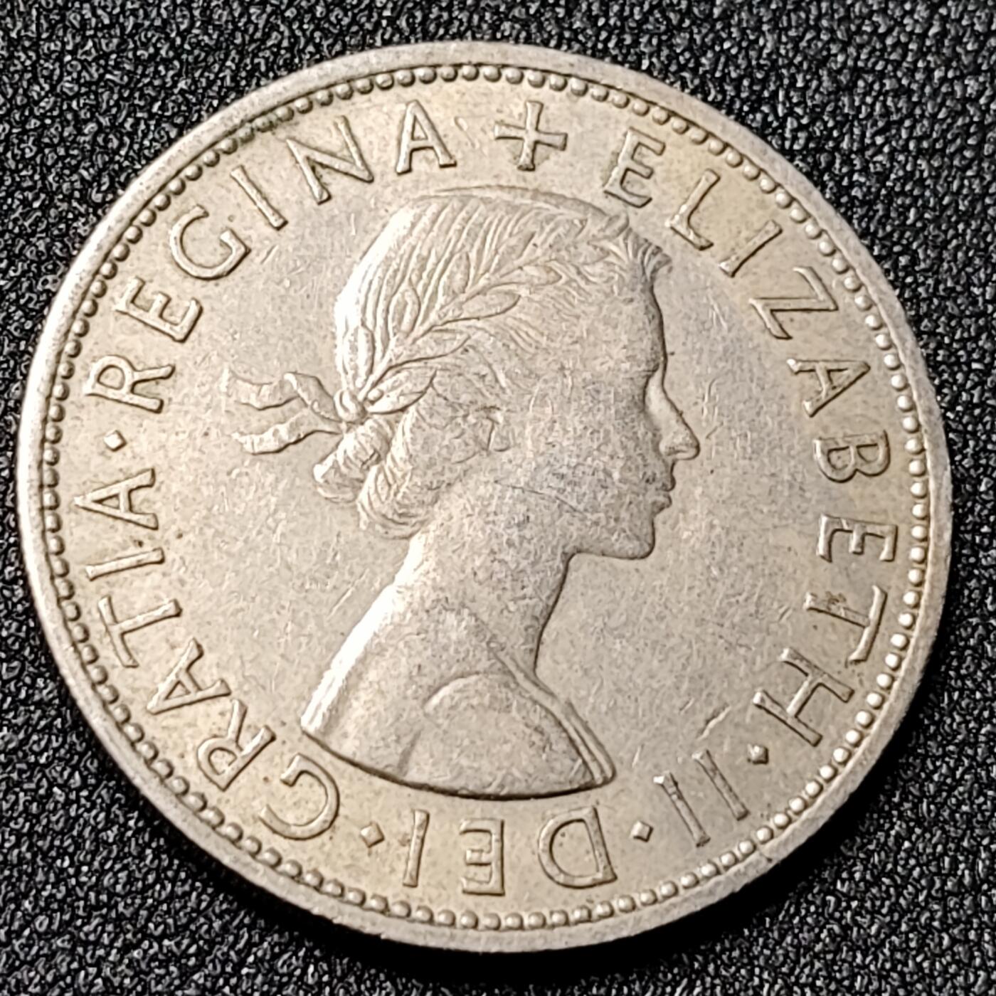 泉币菌-第125场-126场 并场 精品福利场(115场之后的本周末发货，感谢理解) 。