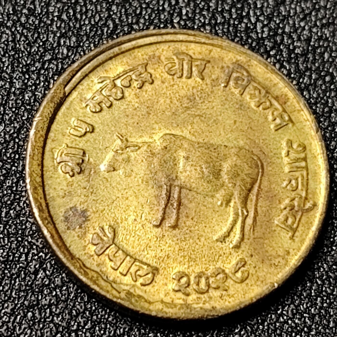 泉币菌-第125场-126场 并场 精品福利场(115场之后的本周末发货，感谢理解) 。