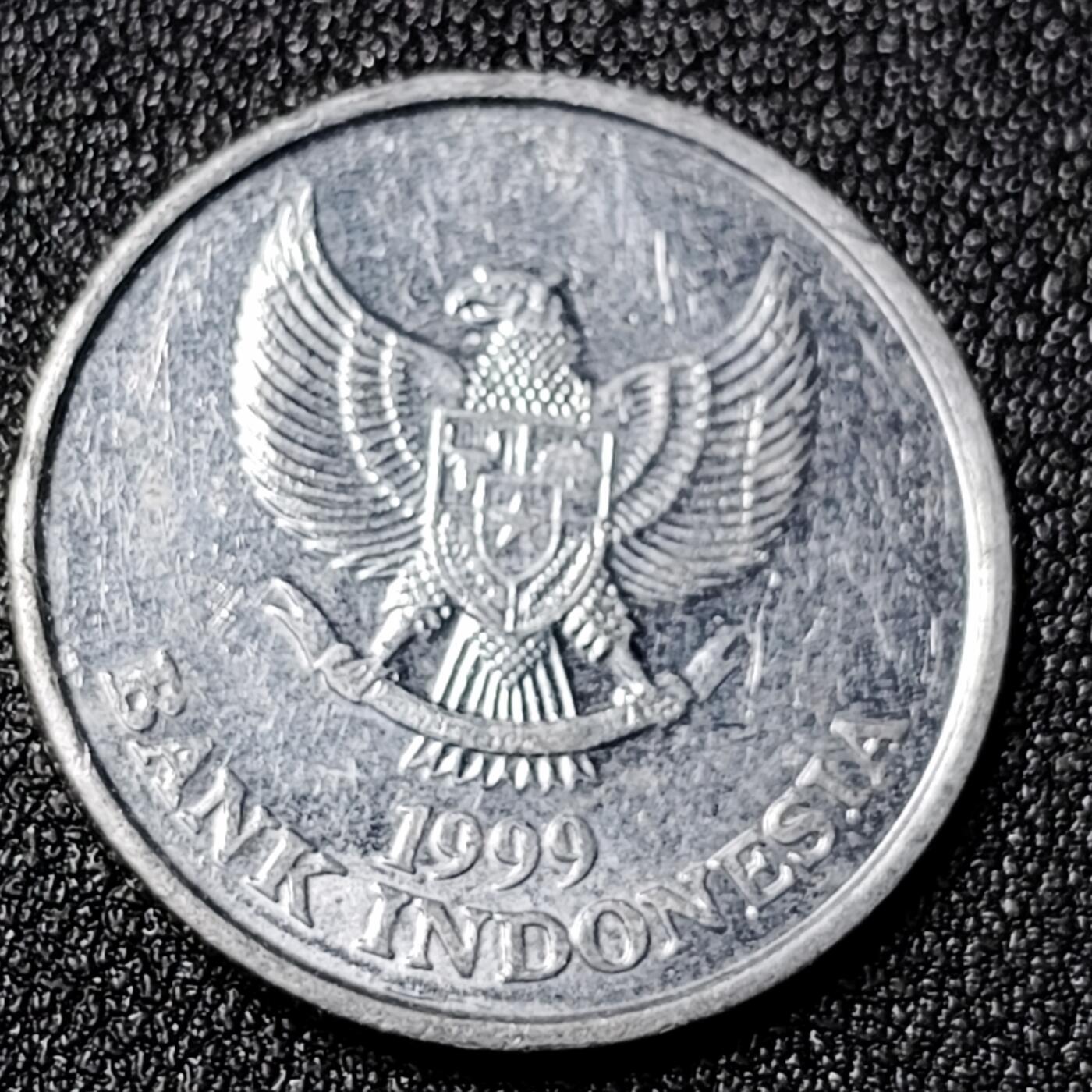 泉币菌-第125场-126场 并场 精品福利场(115场之后的本周末发货，感谢理解) 。