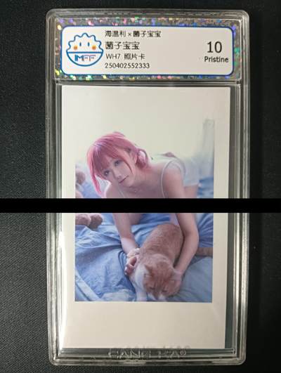 花开卡拍第46期（11月9号周日截拍，品控勿拍!!!拍品不寄存，运费5元，自制卡难免瑕疵，可能存在轻微撞角爆边等出厂瑕疵，品控介意勿拍！） - 海温利 菌子宝宝 wh7照片卡10p