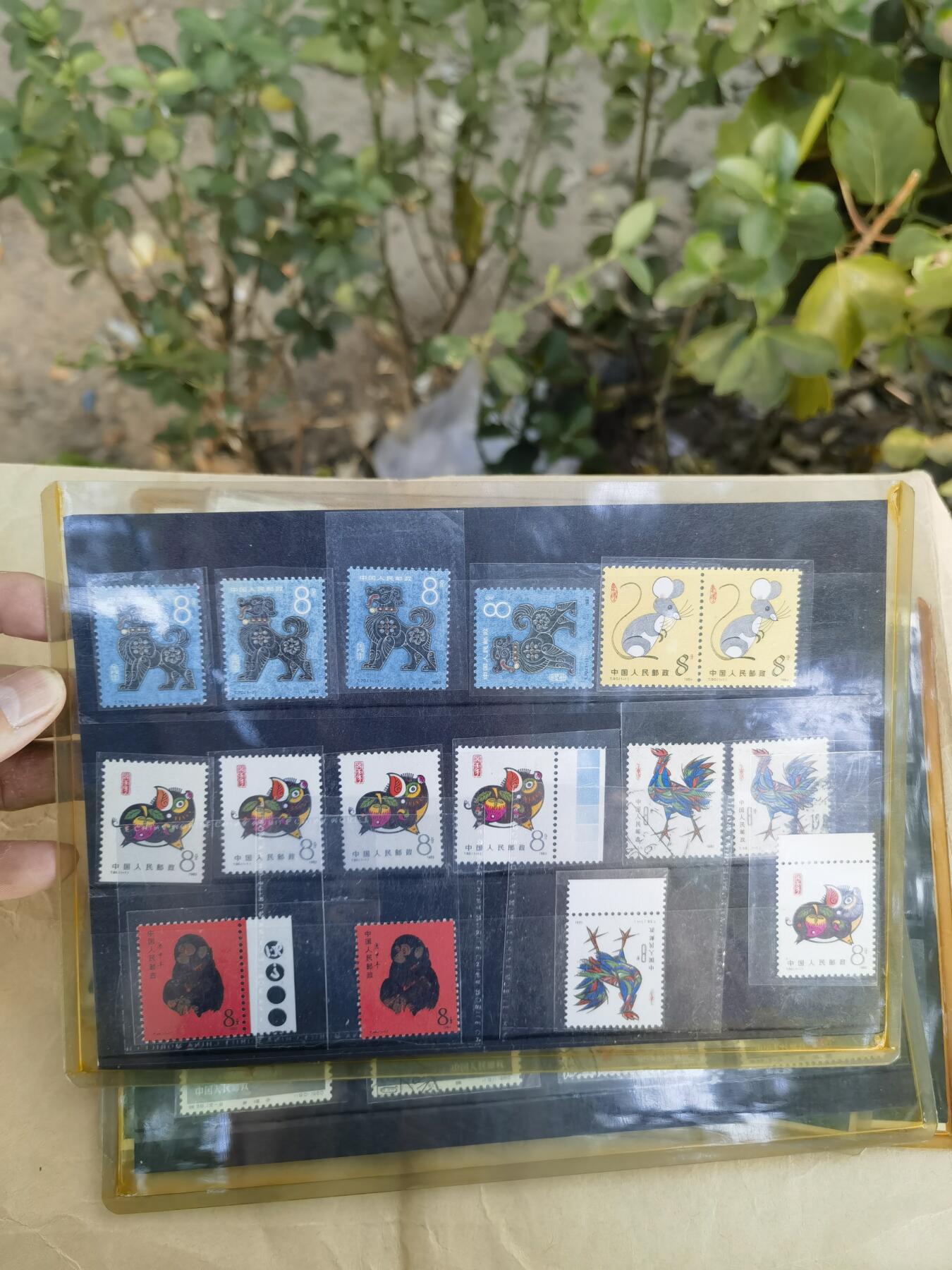 黄永玉雕刻一轮生肖票猴金鱼徐悲鸿奔马等老邮票一批