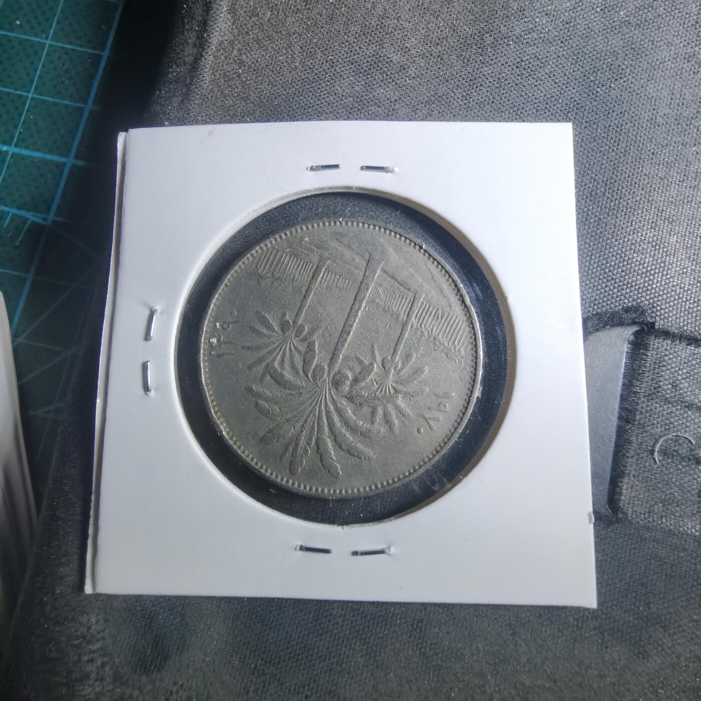 沼泽如烟--第896场