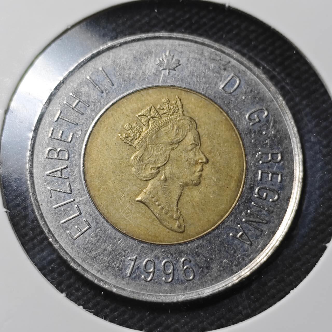 KK钱币收藏小铺  第366场  2月预留时间 周末发货  