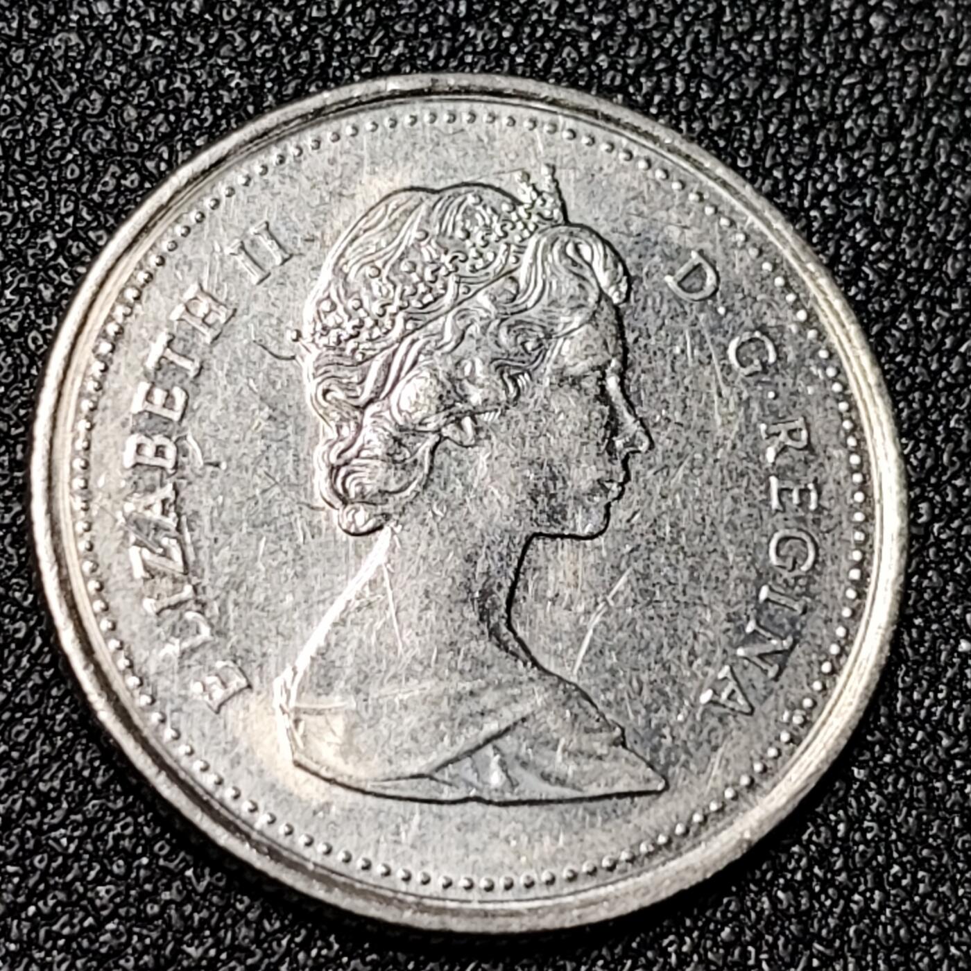 泉币菌-第125场-126场 并场 精品福利场(115场之后的本周末发货，感谢理解) 。