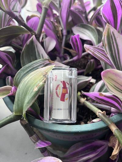 反法西斯纪念币🪙80周年一卷尾8 - 反法西斯纪念币🪙80周年一卷尾8