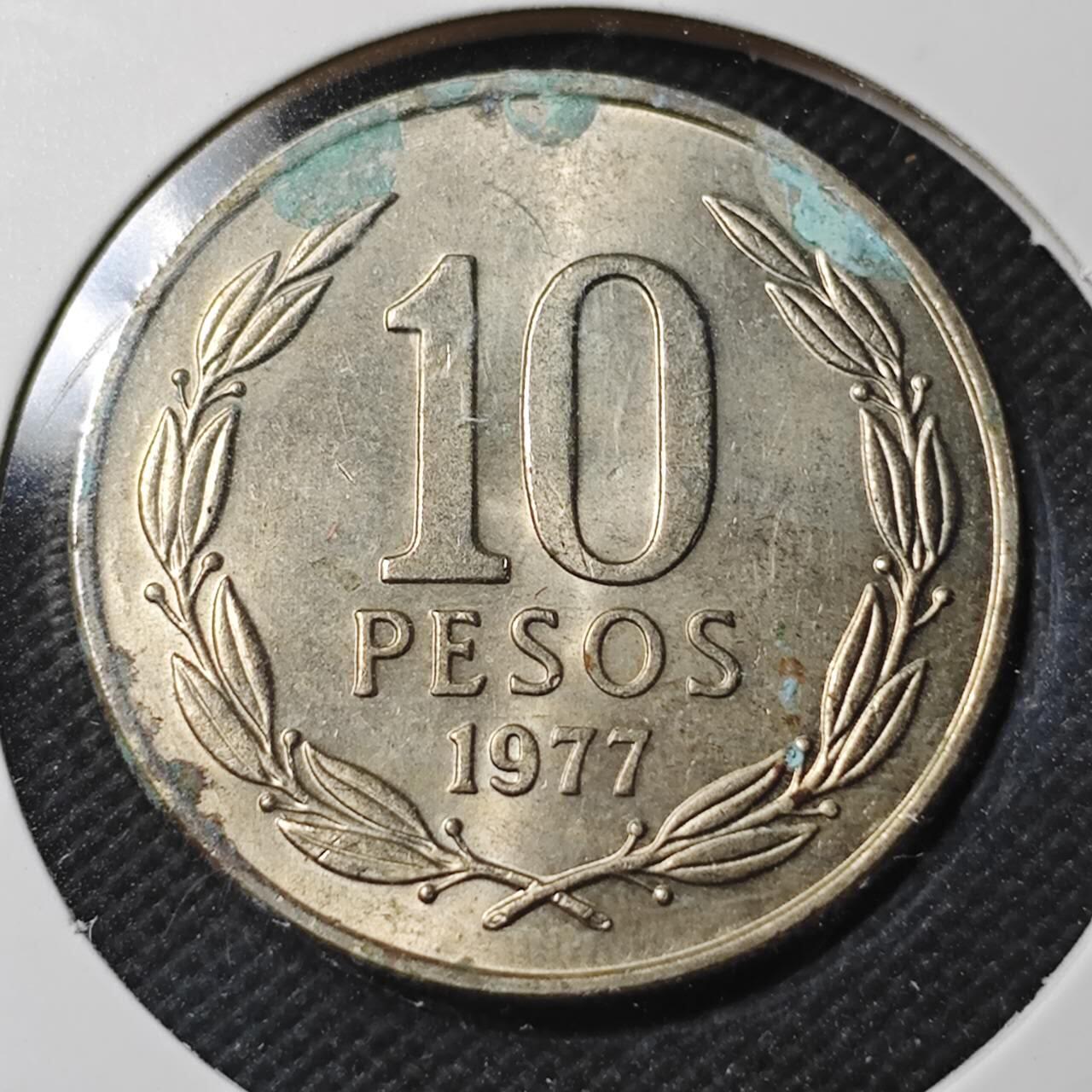 KK钱币收藏小铺  第366场  2月预留时间 周末发货  