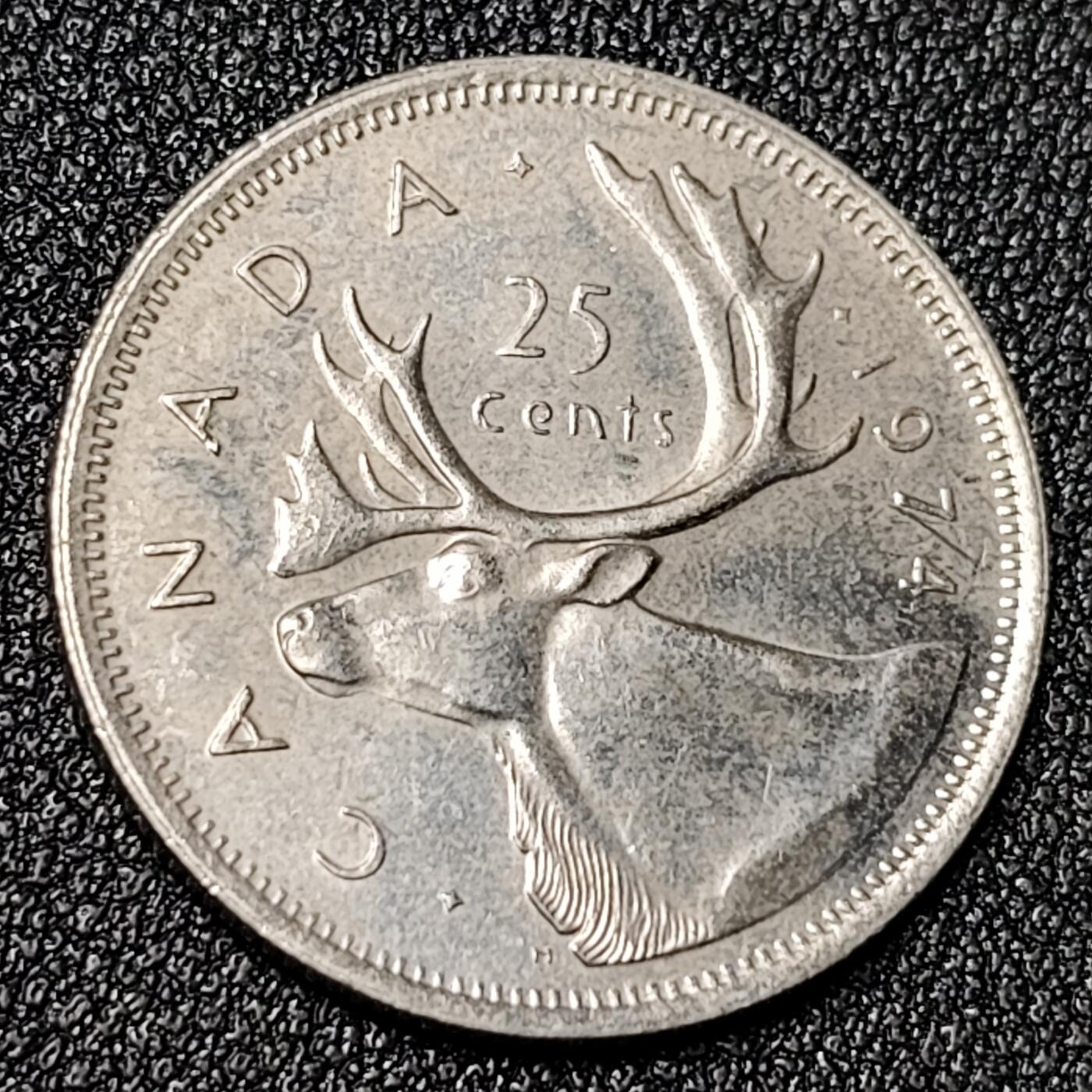 泉币菌-第125场-126场 并场 精品福利场(115场之后的本周末发货，感谢理解) 。