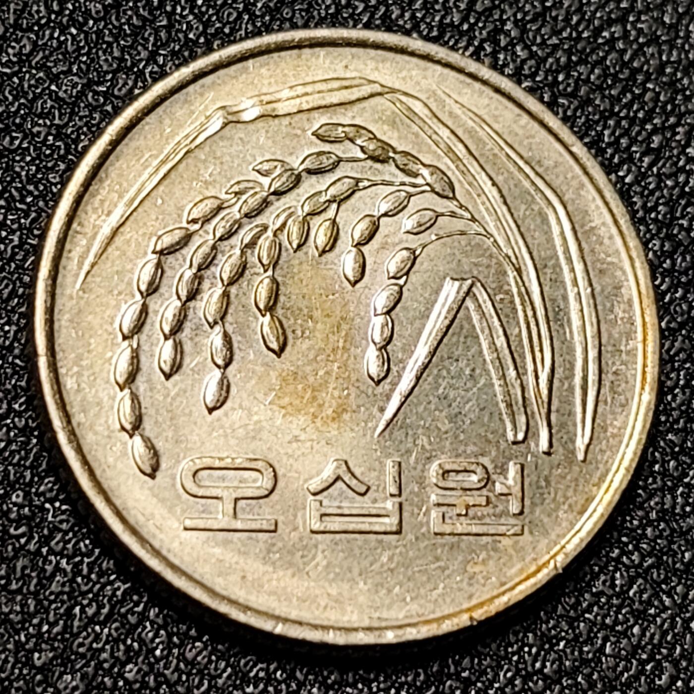 泉币菌-第125场-126场 并场 精品福利场(115场之后的本周末发货，感谢理解) 。