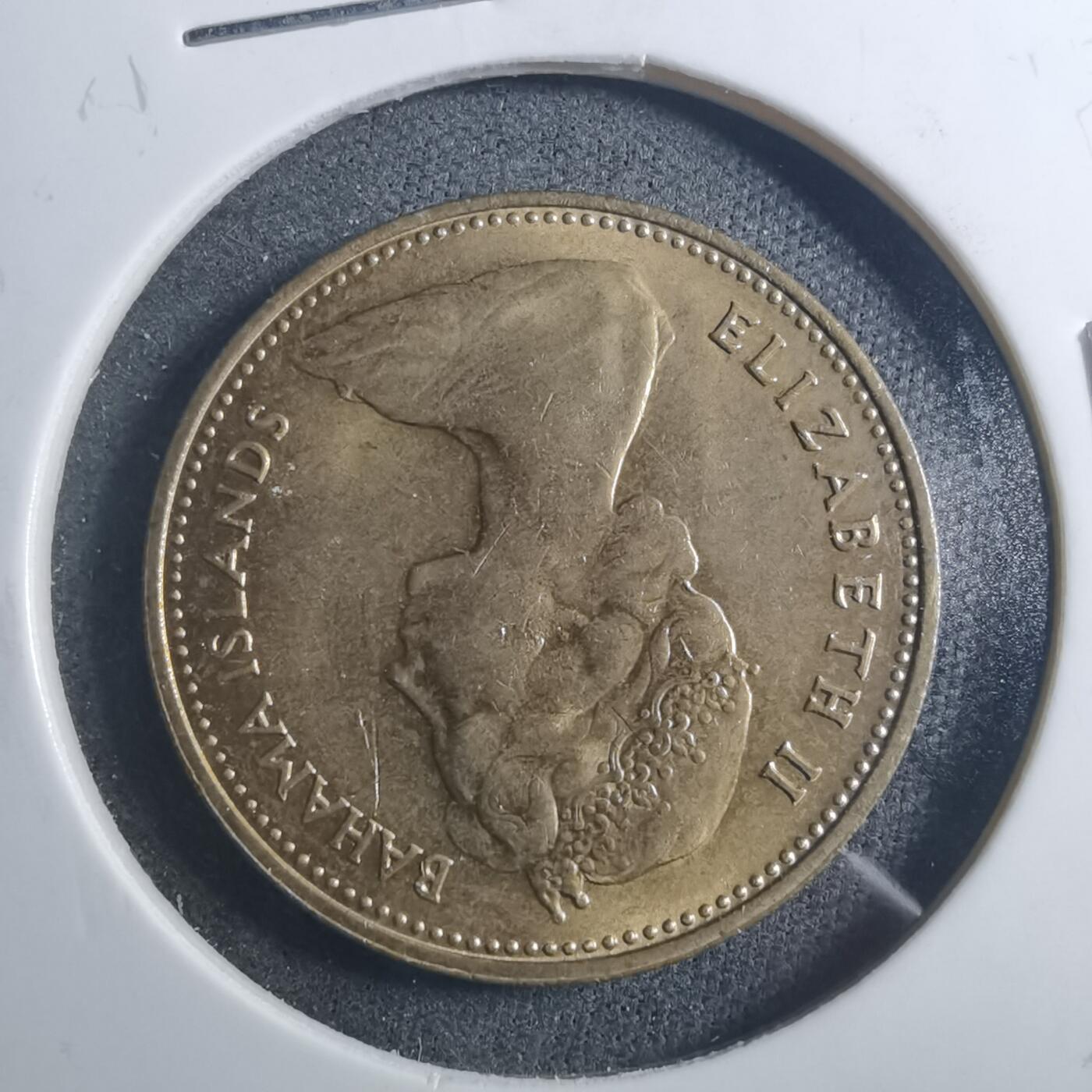 沼泽如烟--第896场