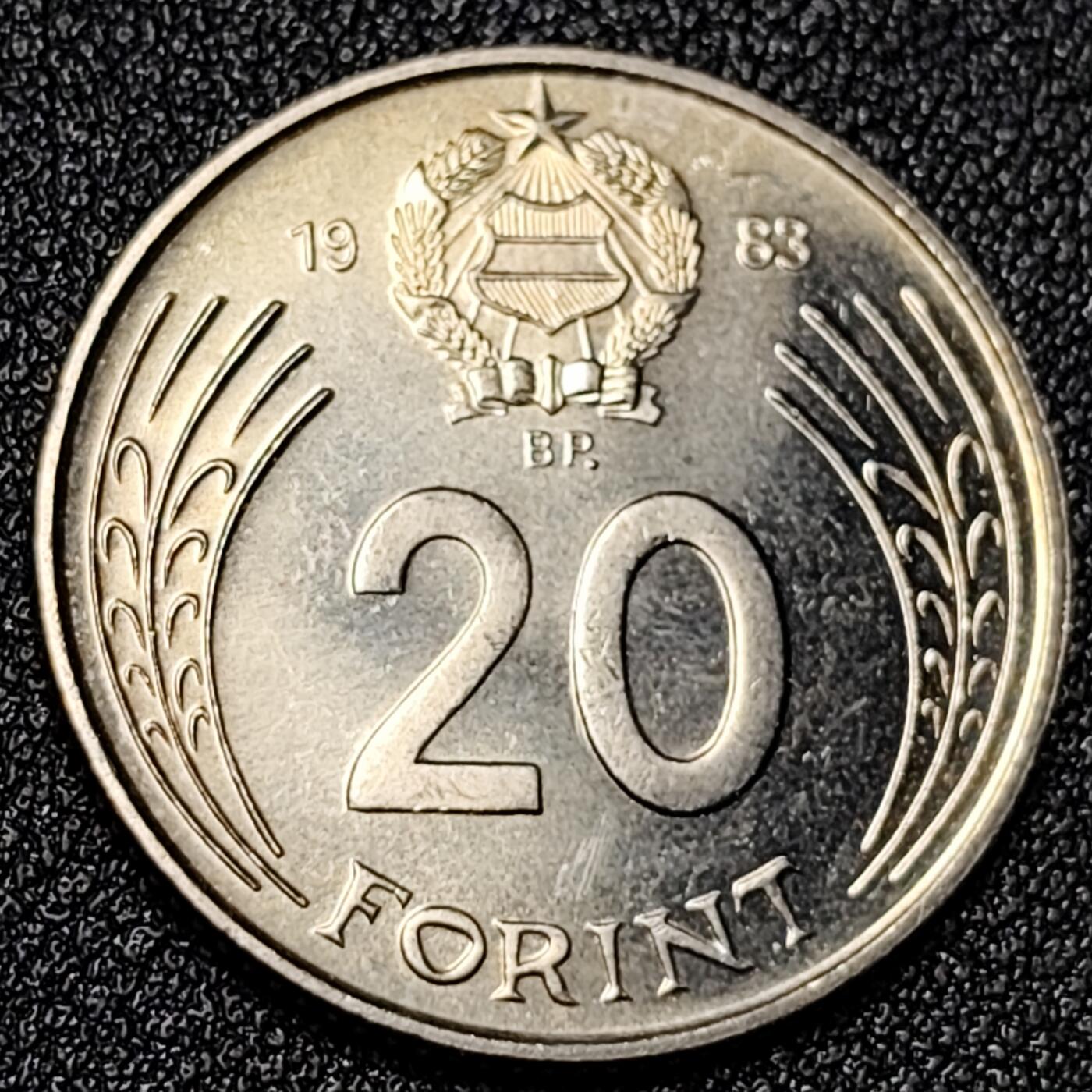 泉币菌-第125场-126场 并场 精品福利场(115场之后的本周末发货，感谢理解) 。