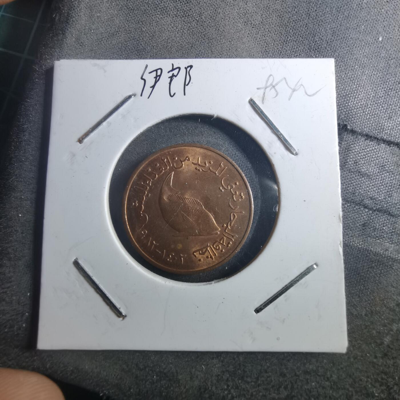 沼泽如烟--第895场 阿联酋