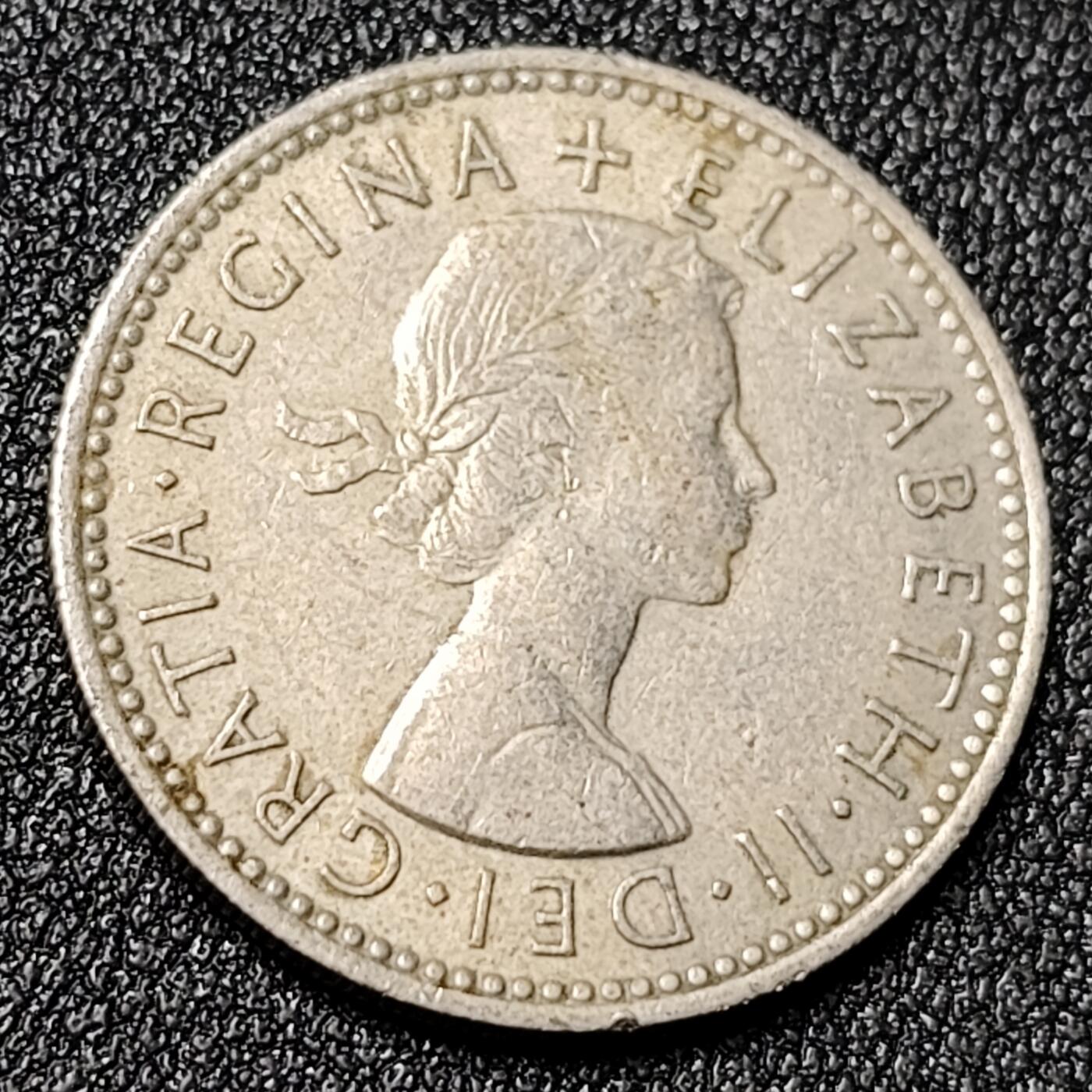 泉币菌-第125场-126场 并场 精品福利场(115场之后的本周末发货，感谢理解) 。