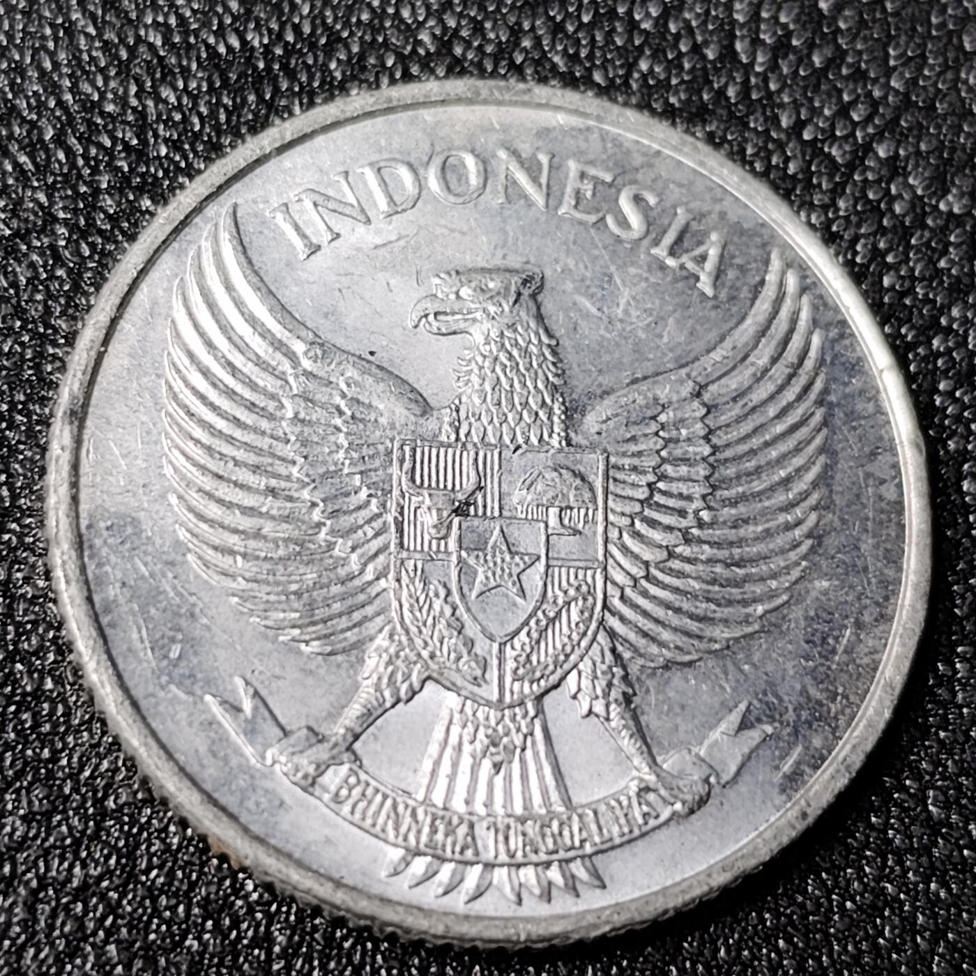 泉币菌-第125场-126场 并场 精品福利场(115场之后的本周末发货，感谢理解) 。