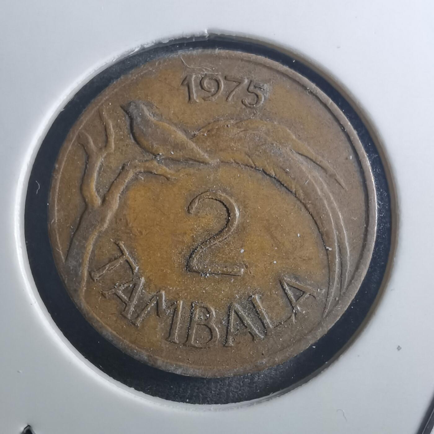 沼泽如烟--第895场 马拉维1975年2坦巴拉