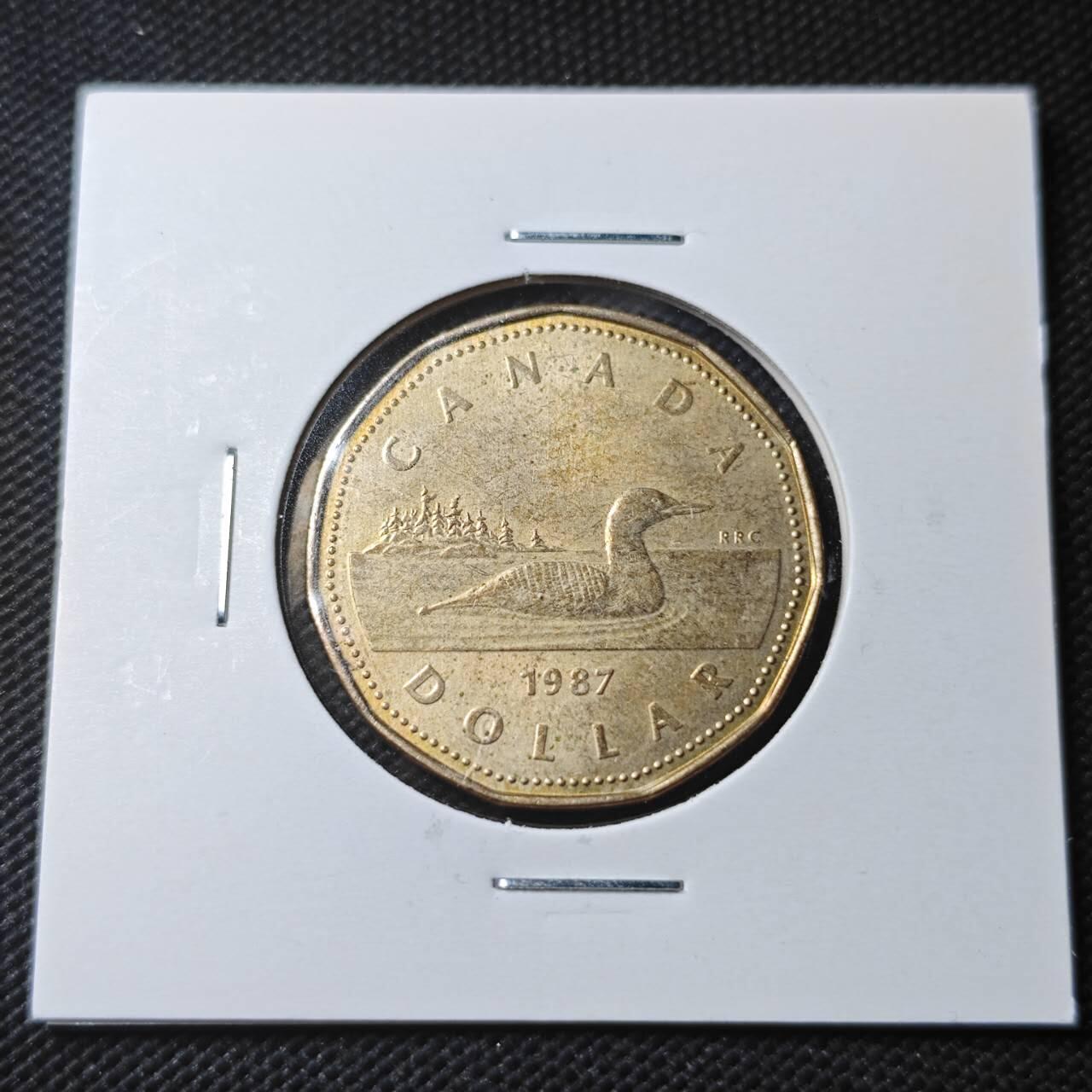 KK钱币收藏小铺  第366场  2月预留时间 周末发货  加拿大1元