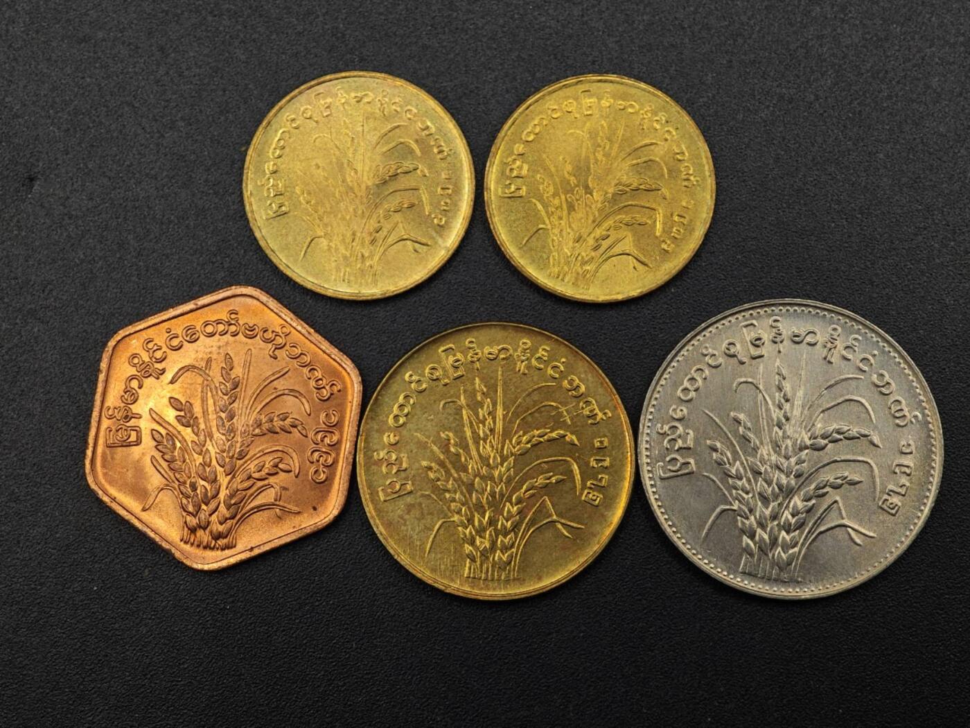 【淘币小摊】实时拍第七百九十二拍   散币场   满百包邮可预留二周 每周一统一发货   缅甸稻穗5枚