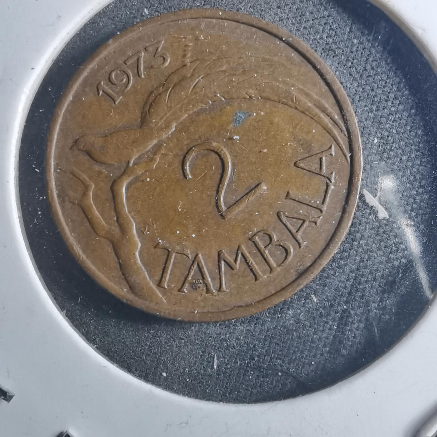 沼泽如烟--第895场 马拉维1973年2坦巴拉