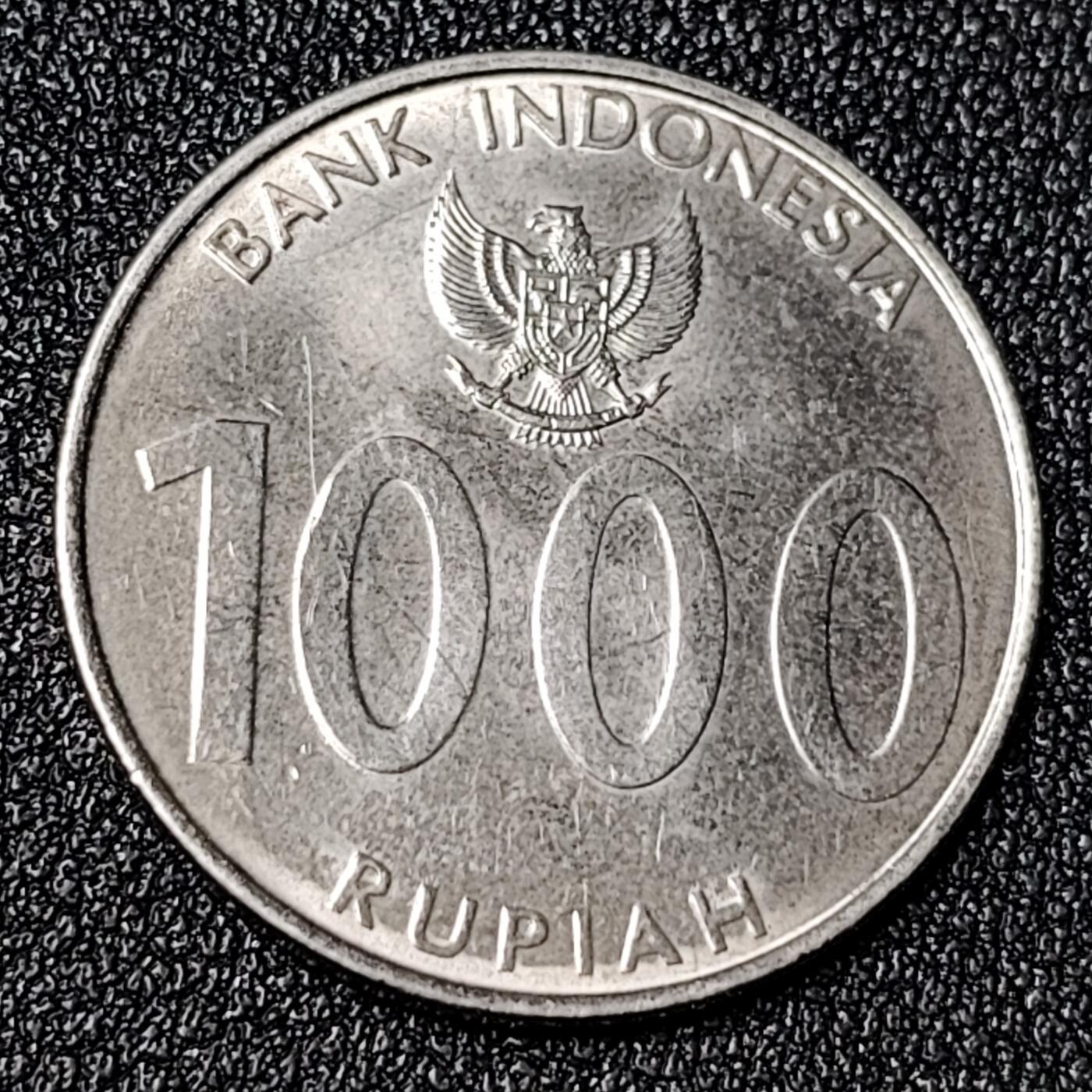 泉币菌-第125场-126场 并场 精品福利场(115场之后的本周末发货，感谢理解) 。