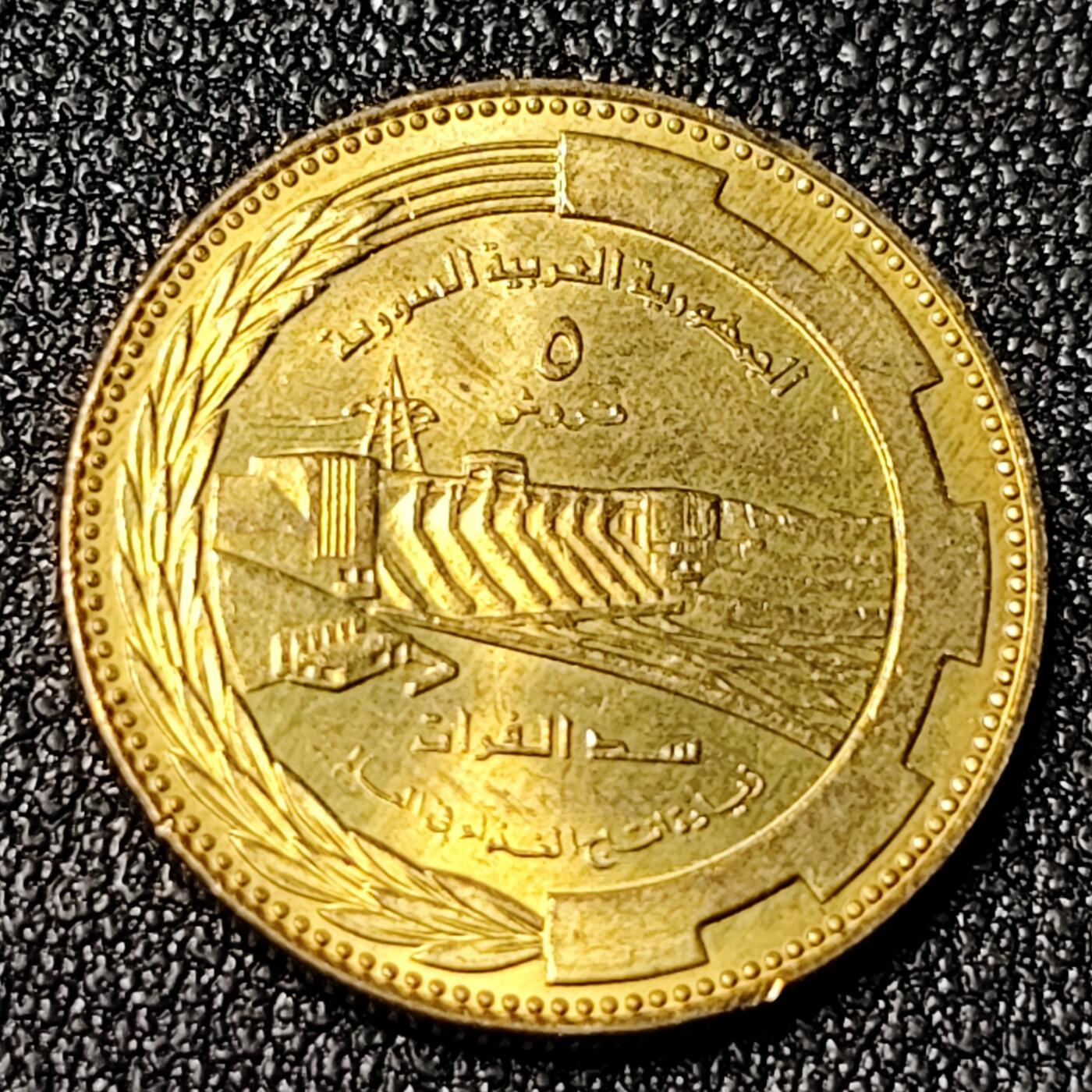 泉币菌-第125场-126场 并场 精品福利场(115场之后的本周末发货，感谢理解) 。