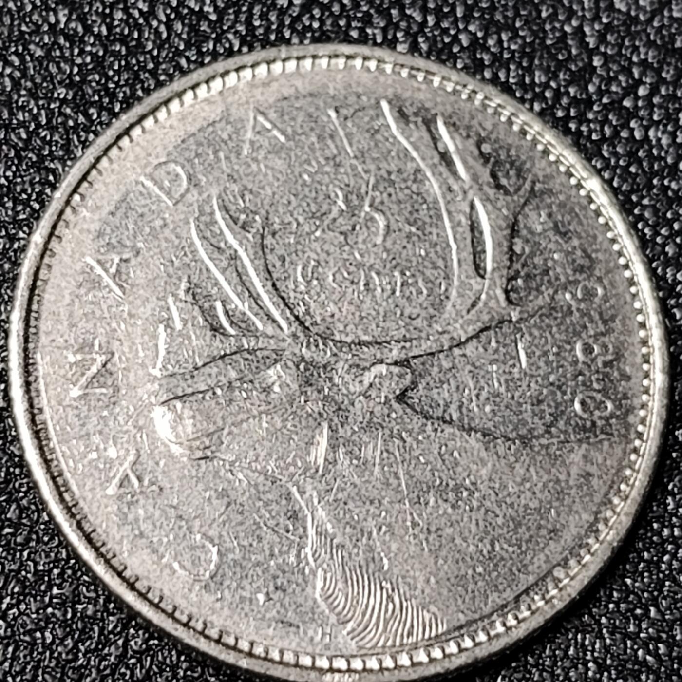 泉币菌-第125场-126场 并场 精品福利场(115场之后的本周末发货，感谢理解) 。