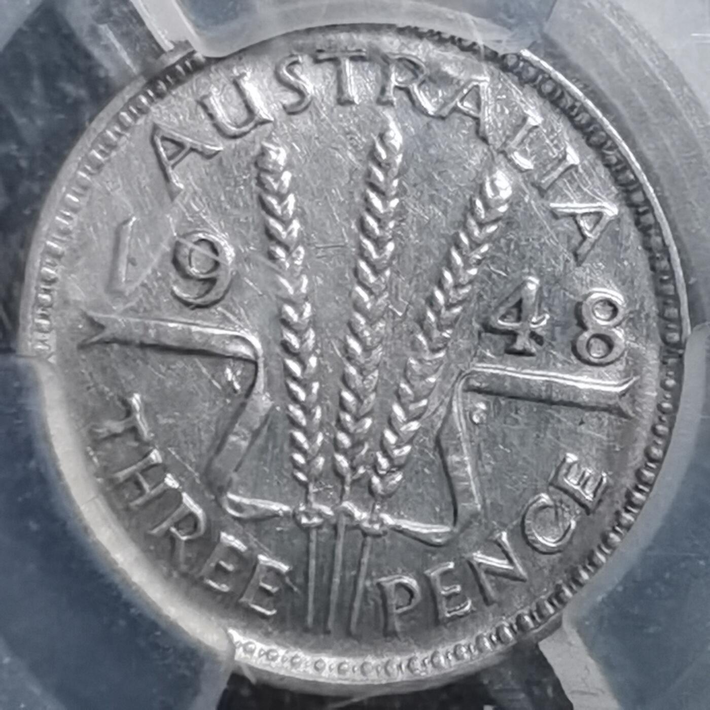 沼泽如烟--第895场