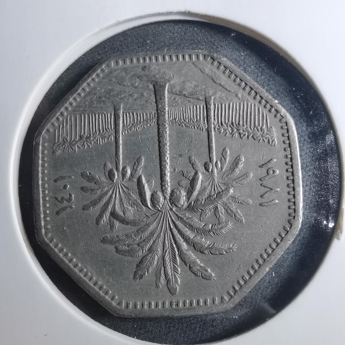 沼泽如烟--第896场 伊拉克