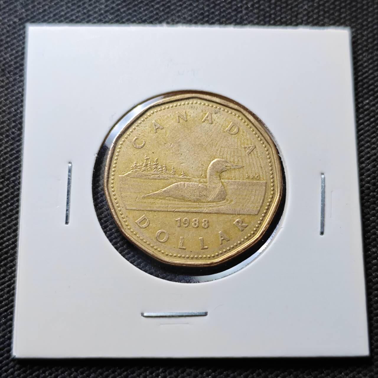 KK钱币收藏小铺  第367场  2月预留时间 周末发货  加拿大1元