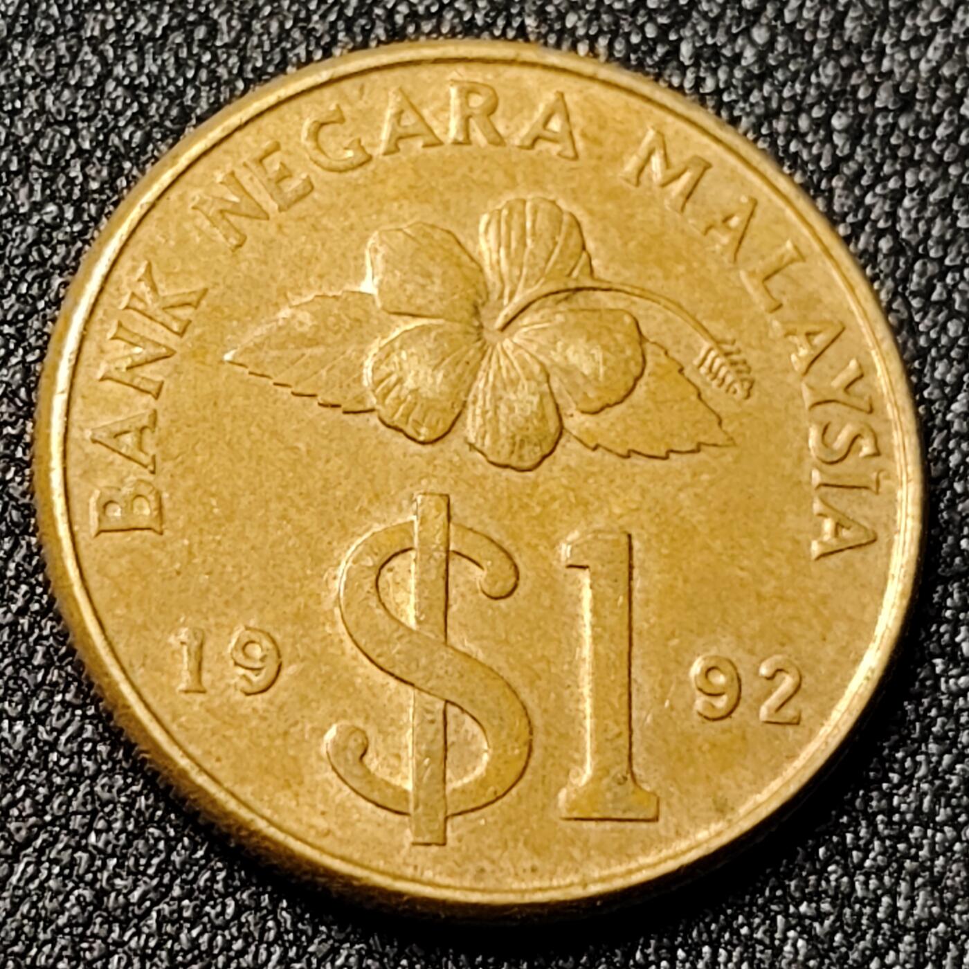 泉币菌-第125场-126场 并场 精品福利场(115场之后的本周末发货，感谢理解) 。