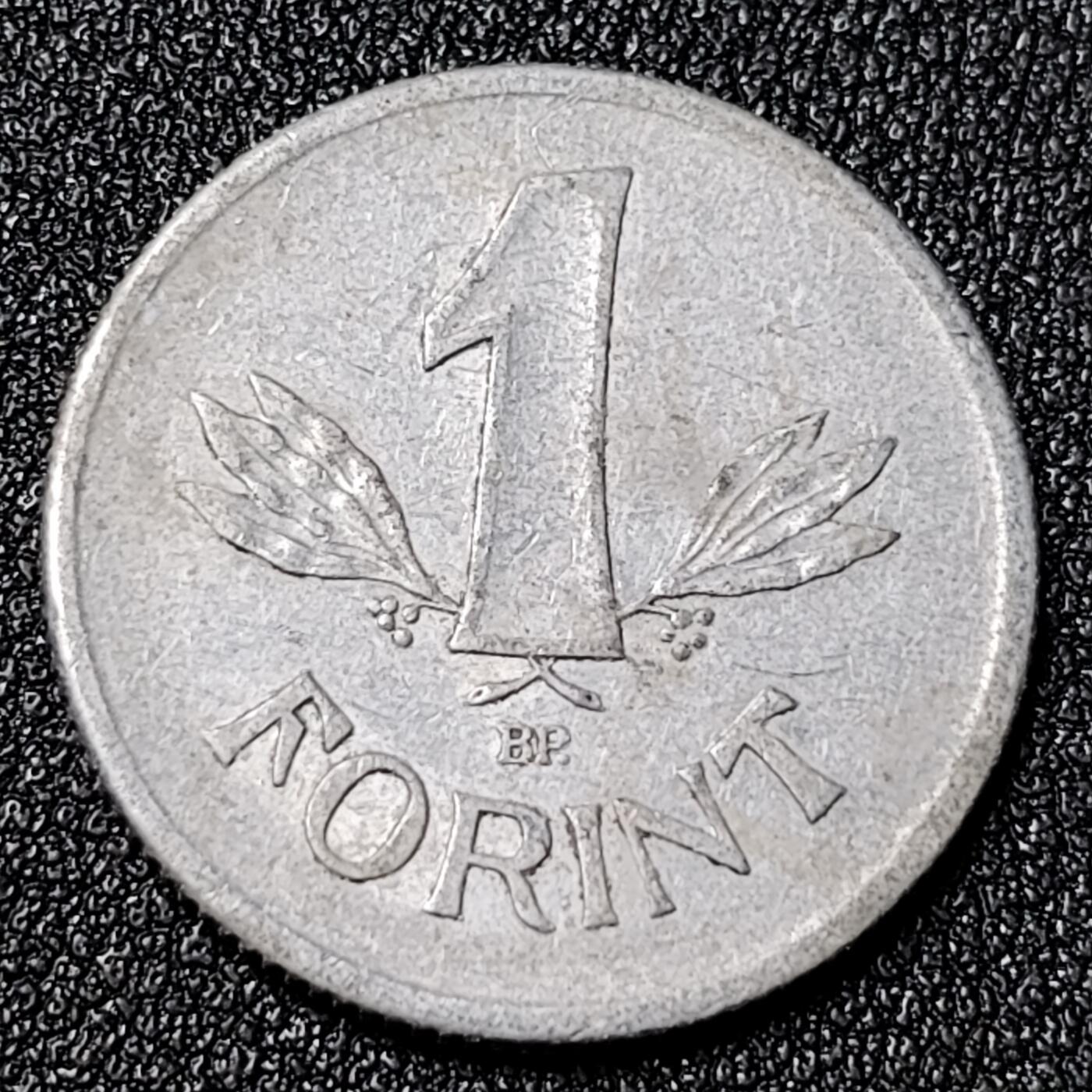 泉币菌-第125场-126场 并场 精品福利场(115场之后的本周末发货，感谢理解) 。