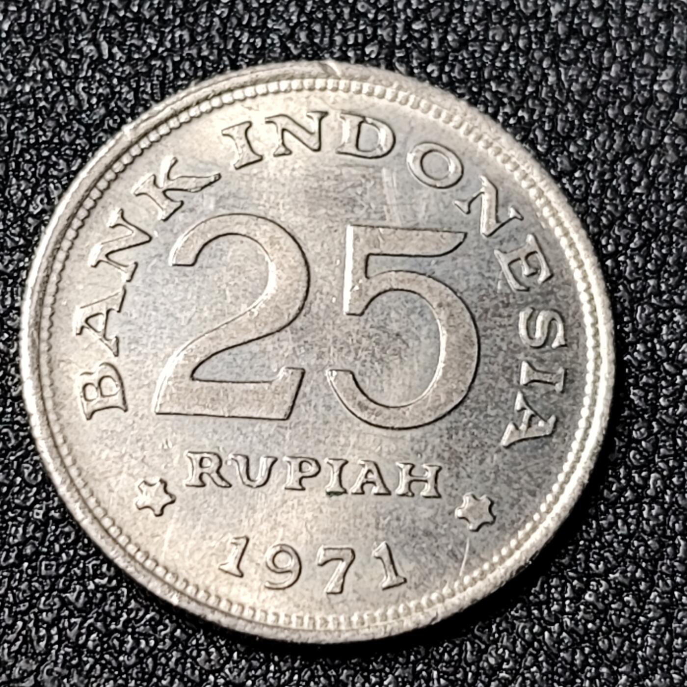 泉币菌-第125场-126场 并场 精品福利场(115场之后的本周末发货，感谢理解) 。