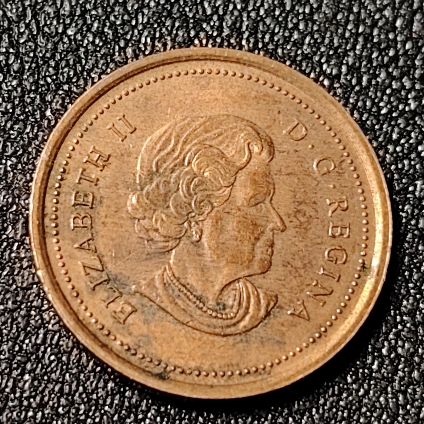 泉币菌-第125场-126场 并场 精品福利场(115场之后的本周末发货，感谢理解) 。