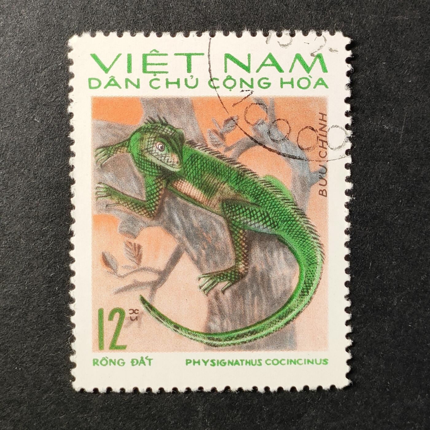 ↓君缘收藏647期☞钱币邮品↓无佣金、可寄存、满30元包邮  越南邮票，1975年动物 越南树蜥邮票