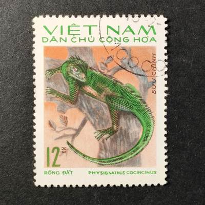 ↓君缘收藏647期☞钱币邮品↓无佣金、可寄存、满30元包邮  - 越南邮票，1975年动物 越南树蜥邮票