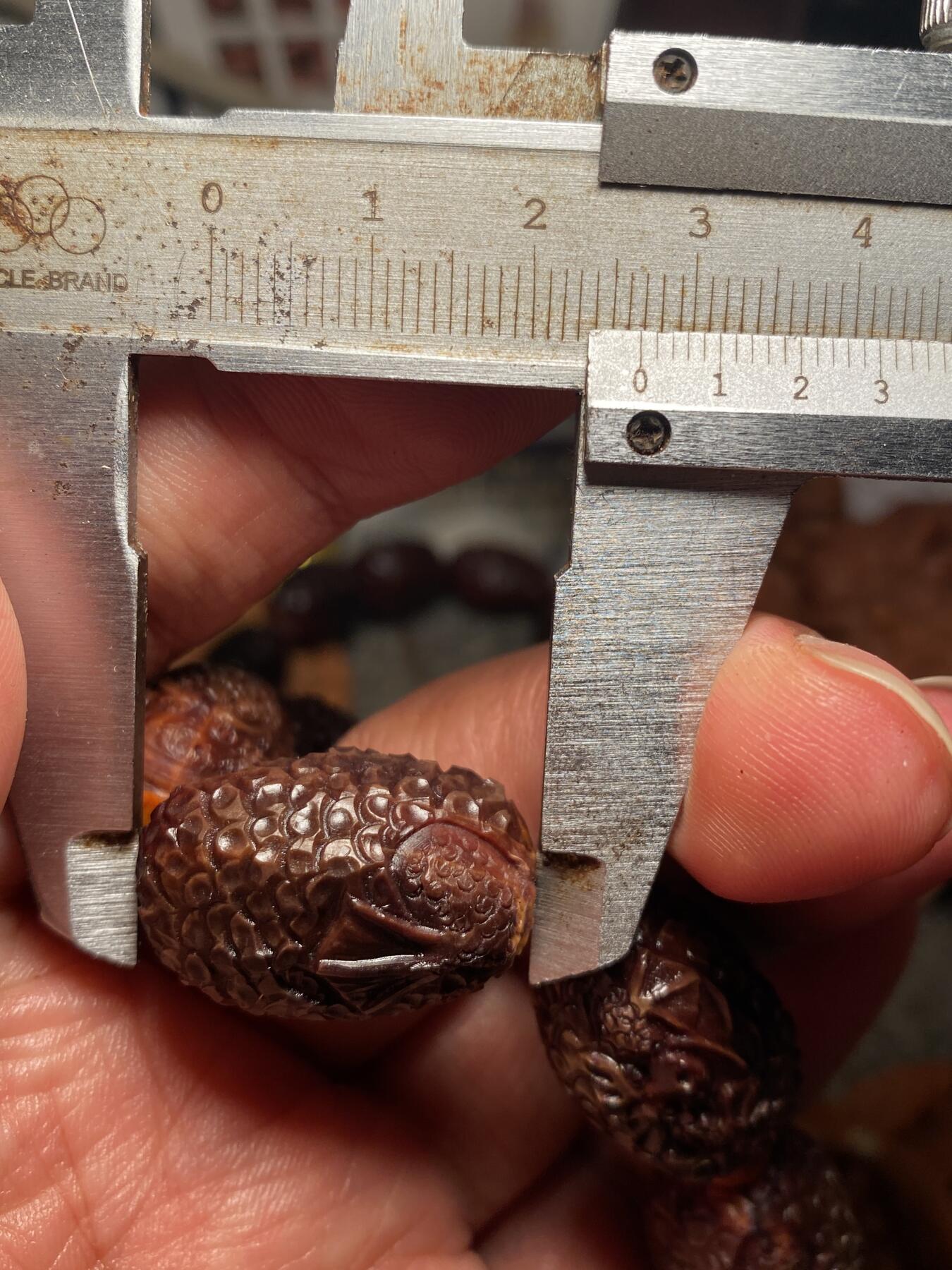 大佬都在看的苏工核雕捡漏价