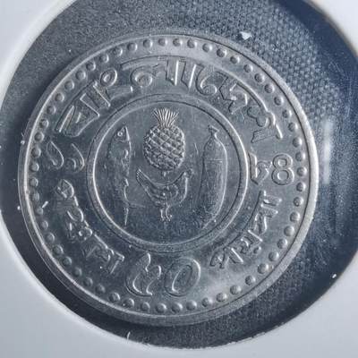 沼泽如烟--第896场 - 孟加拉