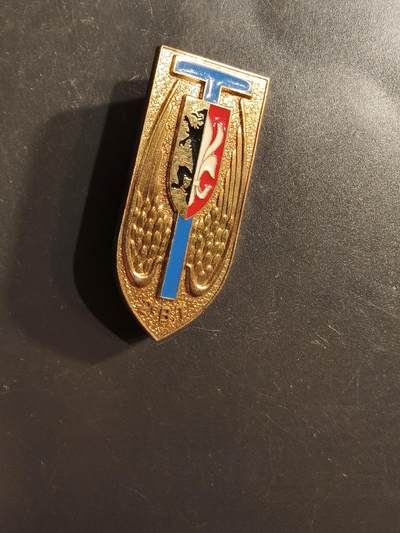 老王徽章第162期 - 法国陆军第802运输团证章 