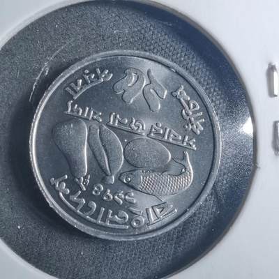 沼泽如烟--第896场 - 孟加拉