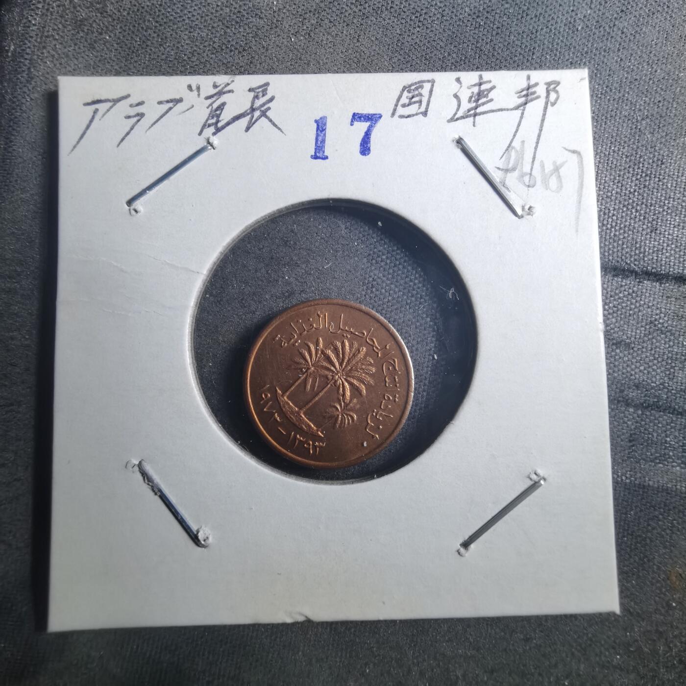 沼泽如烟--第896场 阿联酋