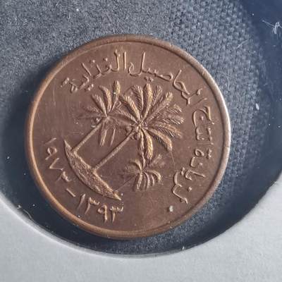 沼泽如烟--第896场 - 阿联酋