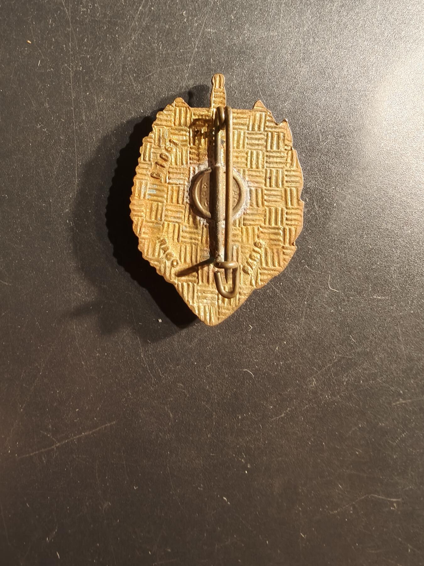 老王徽章第162期