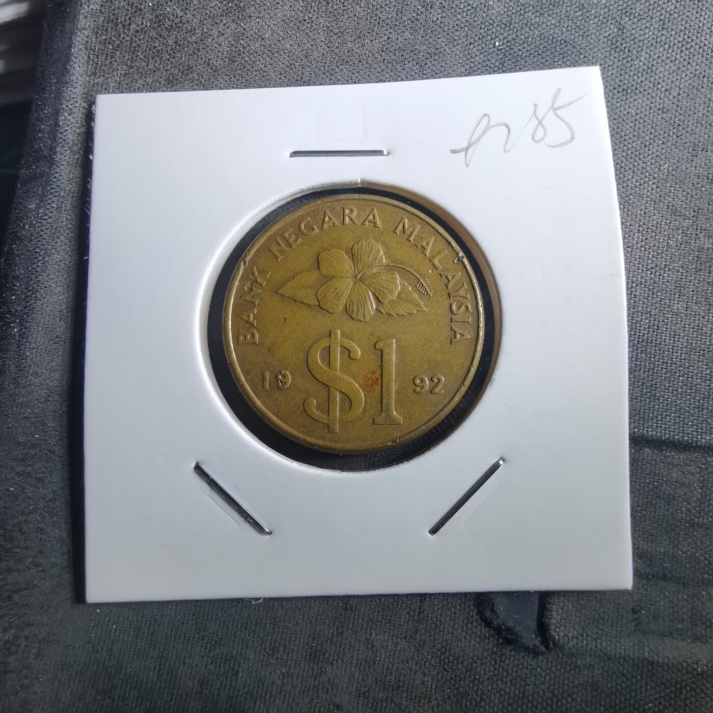 沼泽如烟--第897场