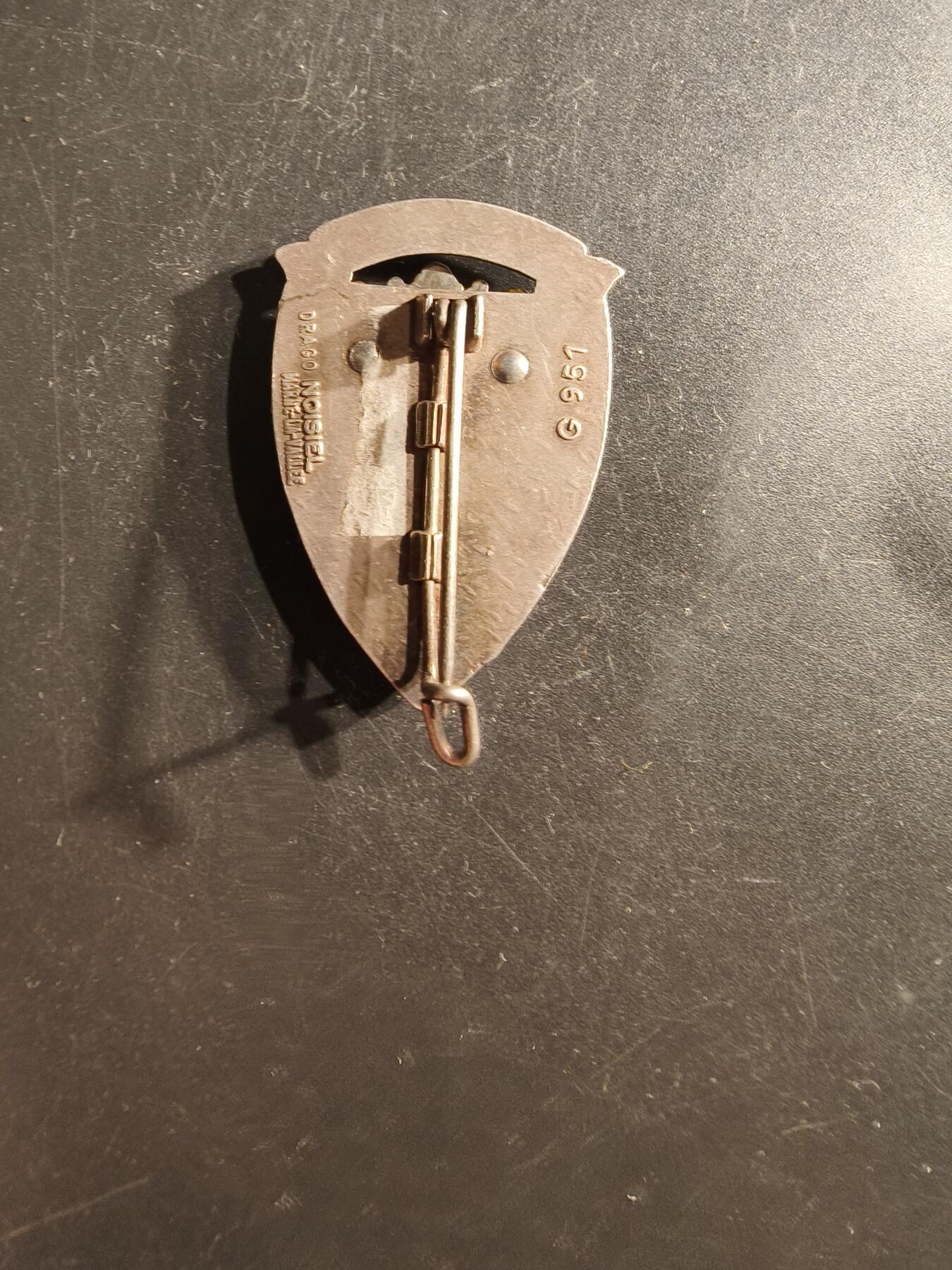 老王徽章第162期