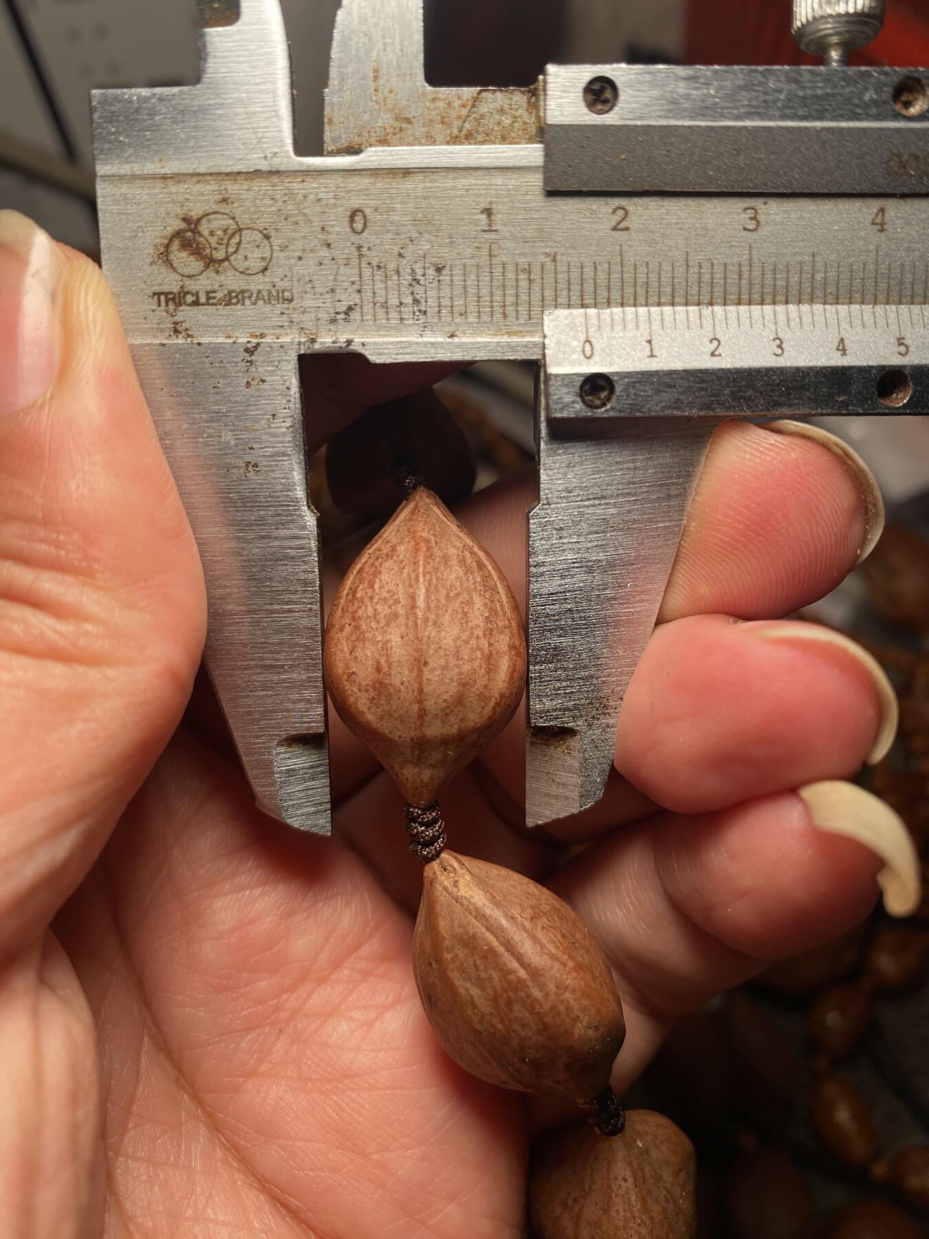 大佬都在看的苏工核雕捡漏价