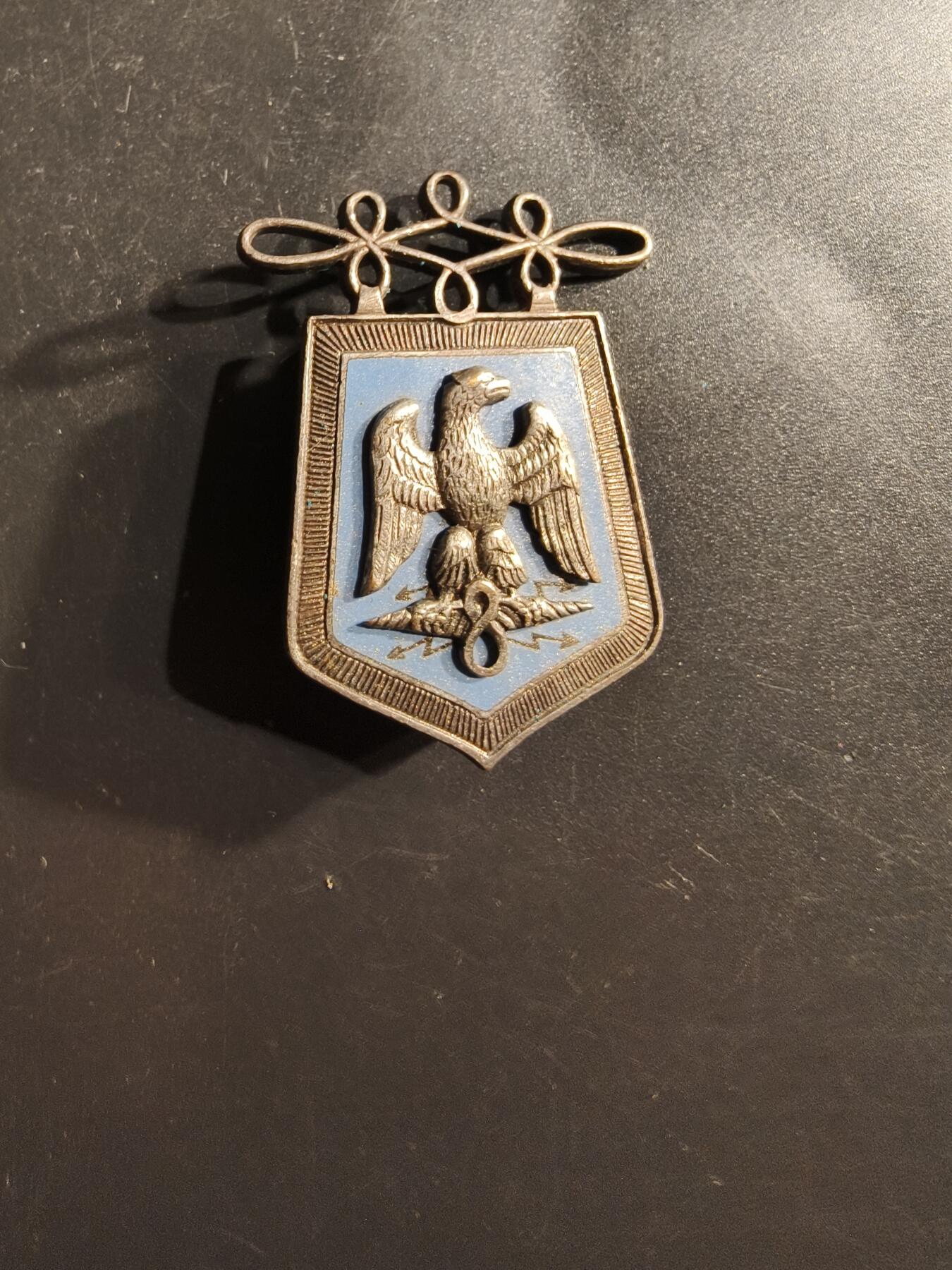 老王徽章第162期 法国陆军第8骠骑兵团证章      法国第8骠骑兵团曾在拿破仑战争、第一次世界大战和阿尔及利亚战争中参战。 该团于1979年解散。