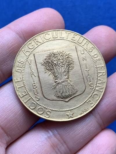 《竞宝斋》第436场 周日，周一2场连拍 （全场包邮） - 法国农业镀金铜章 25.45克 38.2mm 丰饶角铜标 带盒