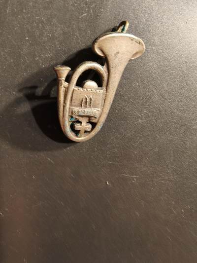 老王徽章第162期 - 法国陆军第8山地步兵营证章 