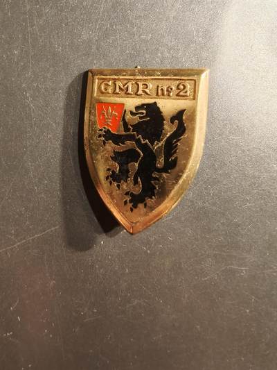 老王徽章第162期 -  法国宪兵部队区域手段大队第2大队证章